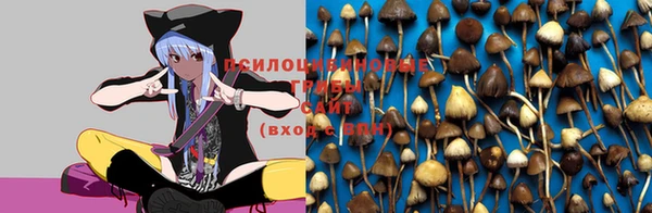 марихуана Абинск