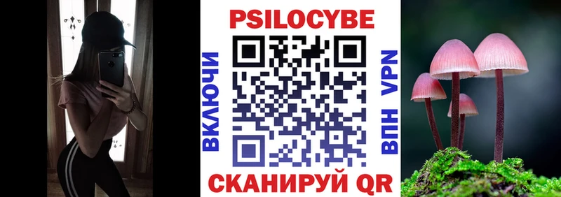 Псилоцибиновые грибы прущие грибы МЕГА Советский
